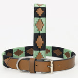BAR H EQUINE Western Genuine Leather Dog Collar Embroidered Black & Light Green
