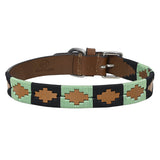 BAR H EQUINE Western Genuine Leather Dog Collar Embroidered Black & Light Green - 22"