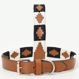 BAR H EQUINE Western Genuine Leather Dog Collar Embroidered Black & White
