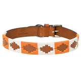 BAR H EQUINE Western Genuine Leather Dog Collar Embroidered Orange & White - 14"